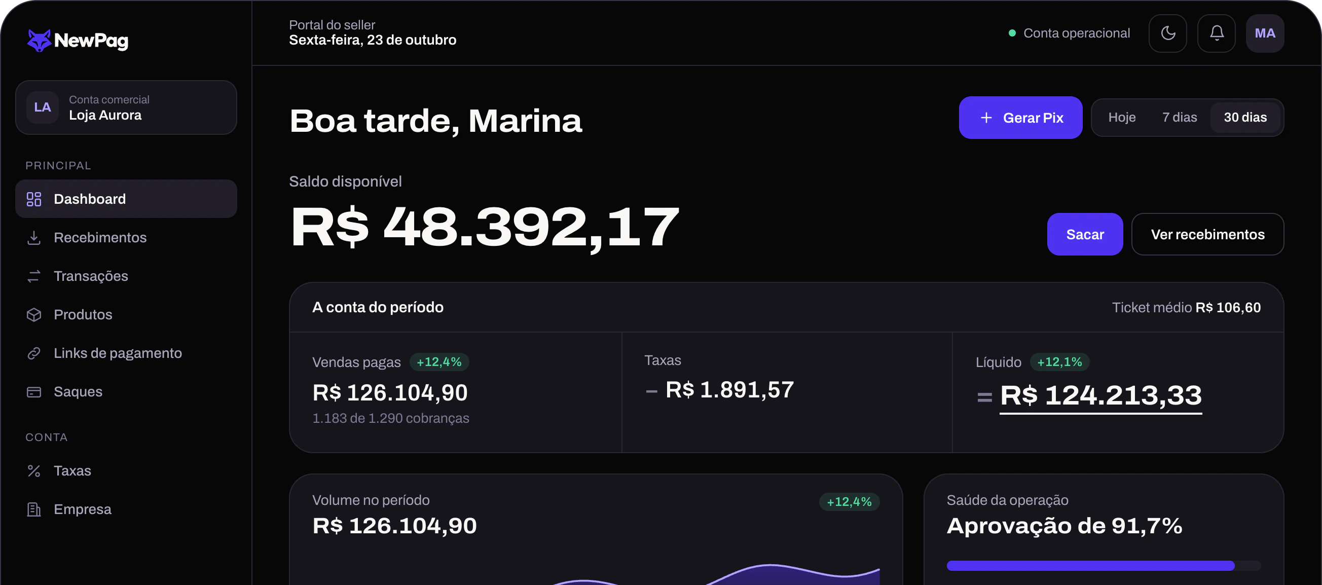 Painel da NewPag com saldo e a conta do período